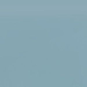 Meet your Posher, Sophia